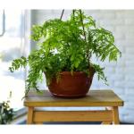 ВЕНЕЦИЯ Горшок д/растений с подвесом и поддоном 4л д25,5см терракот/5PL0352