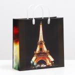 Пакет подарочный пластиковая ручка 30*30*10см Антелла/0327-40 (э)