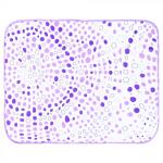 Коврик д/сушки посуды микрофибра 40*50см Рыжий кот/MDM-01-ХL/310261