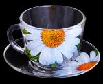 Набор чайный стекл 4пр (2*0,22л+2блюдца) Живая природа Ромашка п/у Декостек/2222-Д/Т00011570