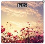 Весы напольные электронные 26*26см до180кг MAXTRONIC MAX-BS-4126B/115994