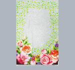 Пакет упаковочный прозрачный рисунок 30*50см запайка 100шт Терасса СЛ/2111365