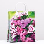 Пакет подарочный пластиковая ручка 26*23*10см Антелла/0167-127 (э)