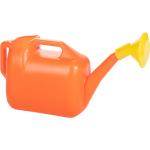 Лейка 6,5л с рассеивателем в ассорт Радиан/10106501 (м)