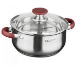 Кастрюля нерж сталь Берта 5л д24см стекл крышка Катунь/КТ15-D-24/003918